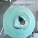 Frosted glass mushroom lamp