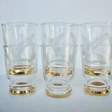 Set of 6 glasses feathered cups