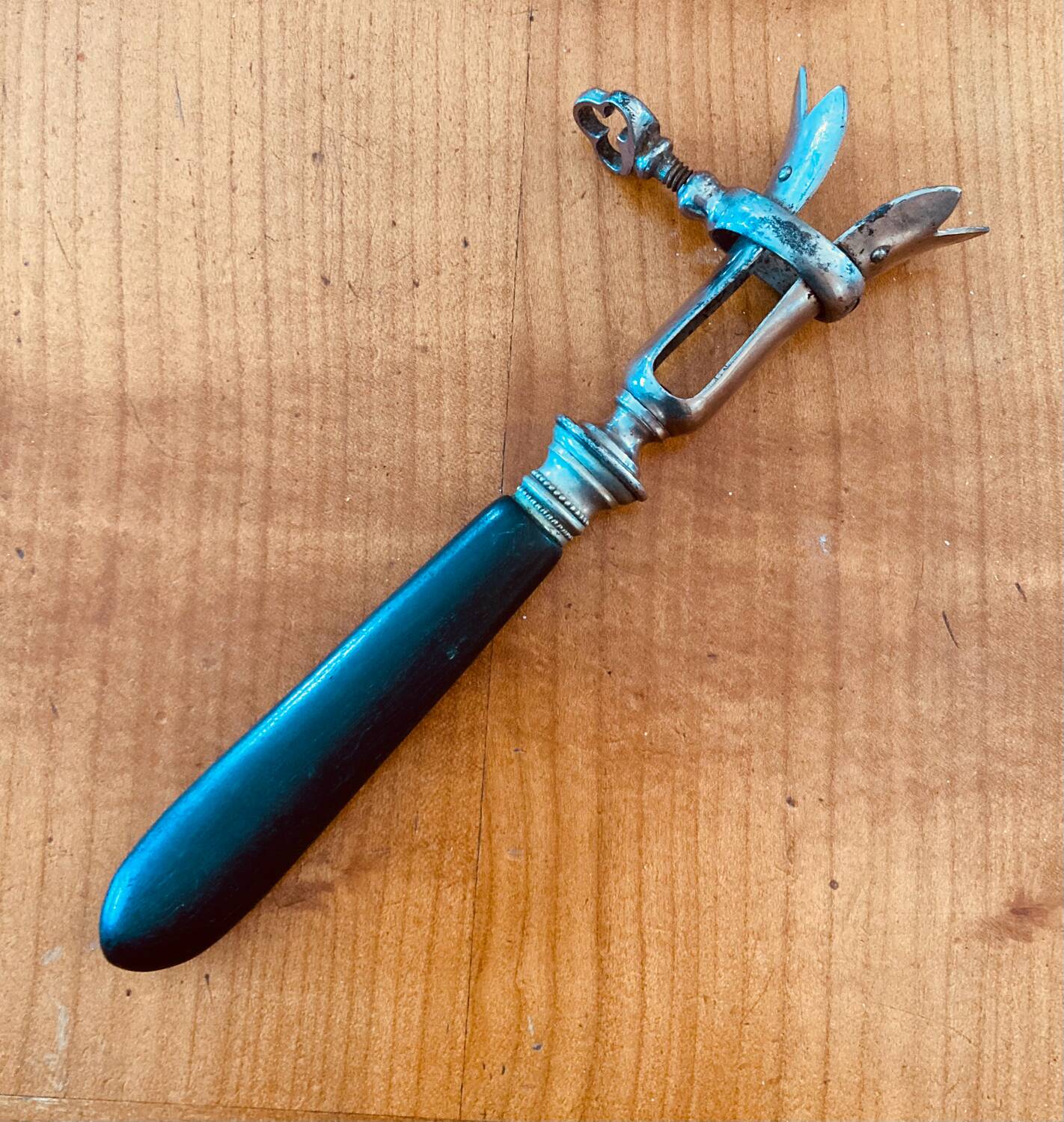 Napoleon III leg of lamb fork from the 19th century with a silver-plated handle and an ebony handle.