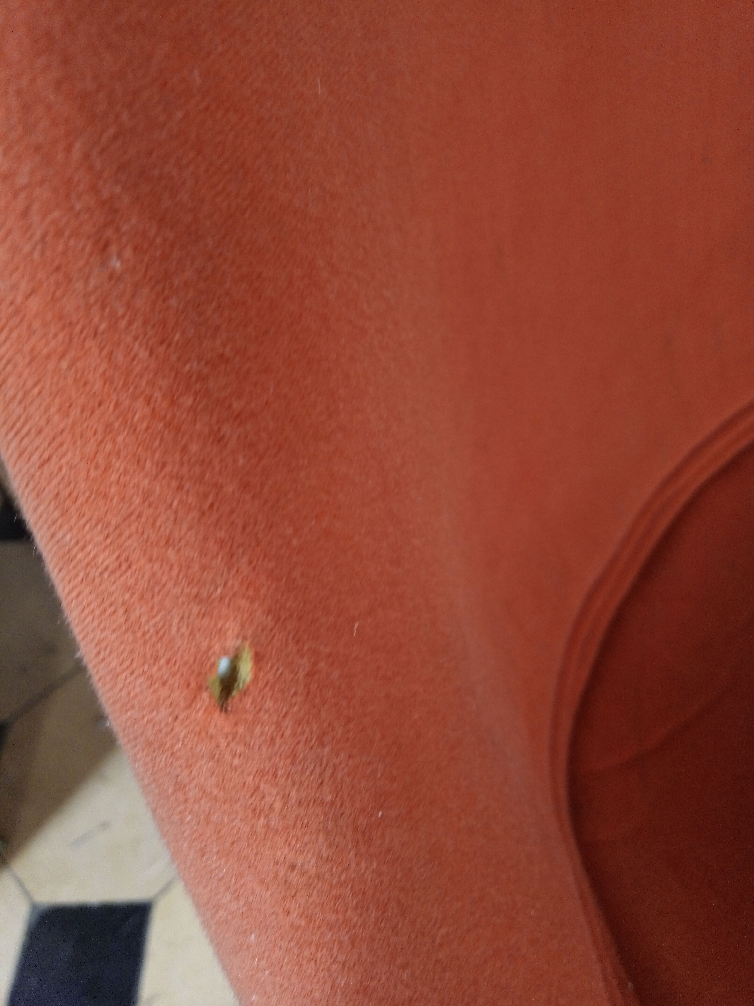 L202 chair by Roland Schweitzer for Lafarge