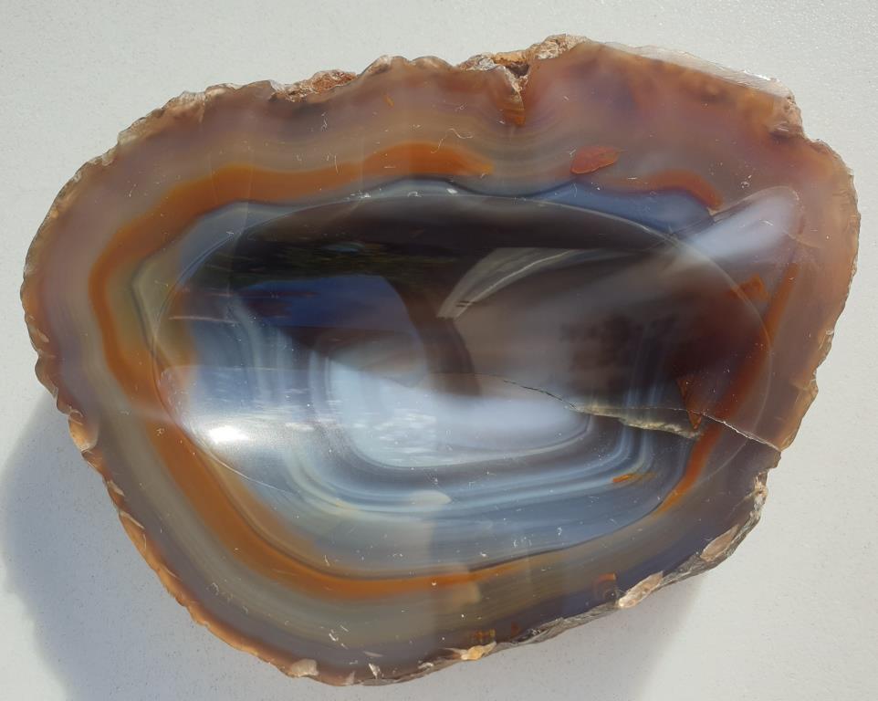 Petrified wood pocket tray