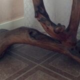 Table en Olivier massif