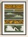 Poster “Animals in Decoration”, after an Art Nouveau lithograph