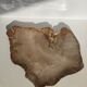 Large empty pocket or flat petrified wood - 30cm
