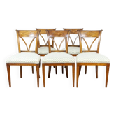 Chaises en orme vintage avec rembourrage blanc, années 1950, ensemble de 5