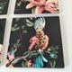 4 Orval coasters – Exotic decor with parrots and pomegranates
