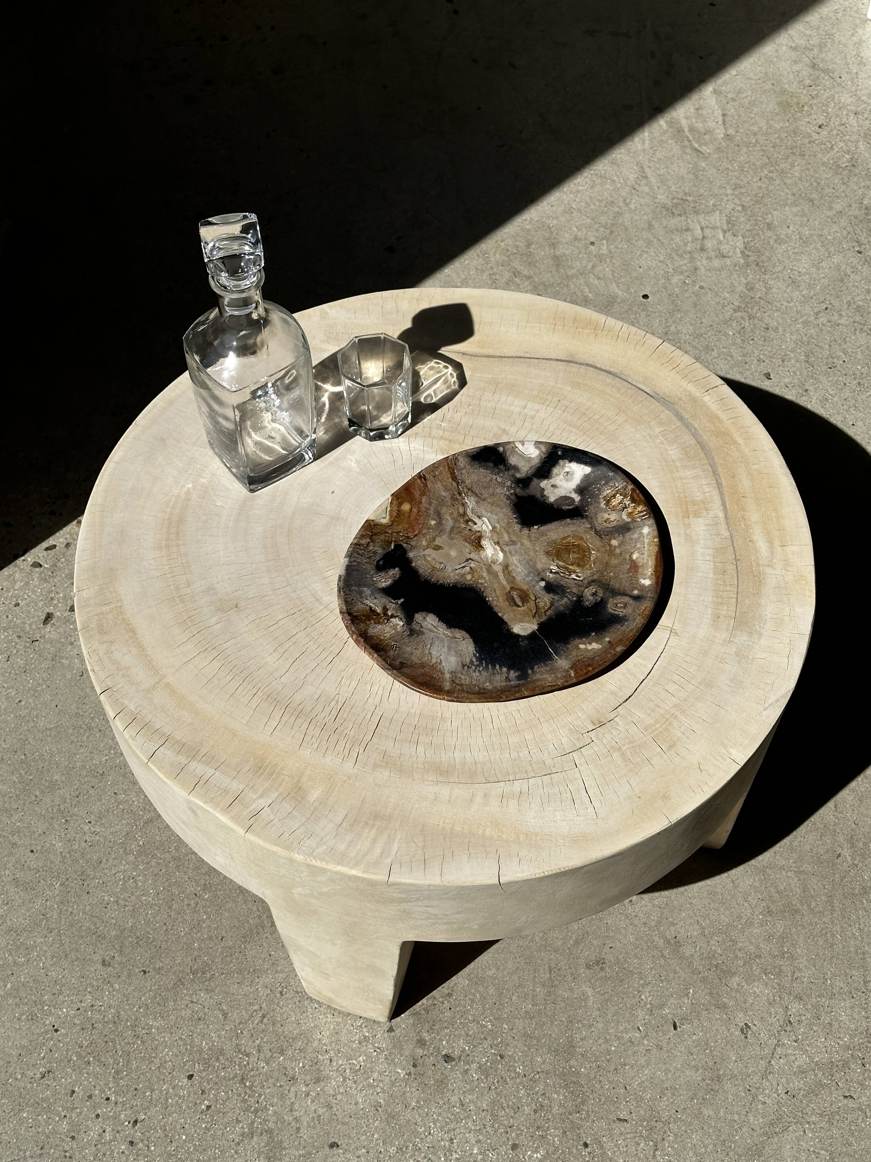 Large empty pocket or dish in petrified wood