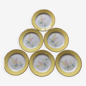 Assiettes à dessert motif floral jaune