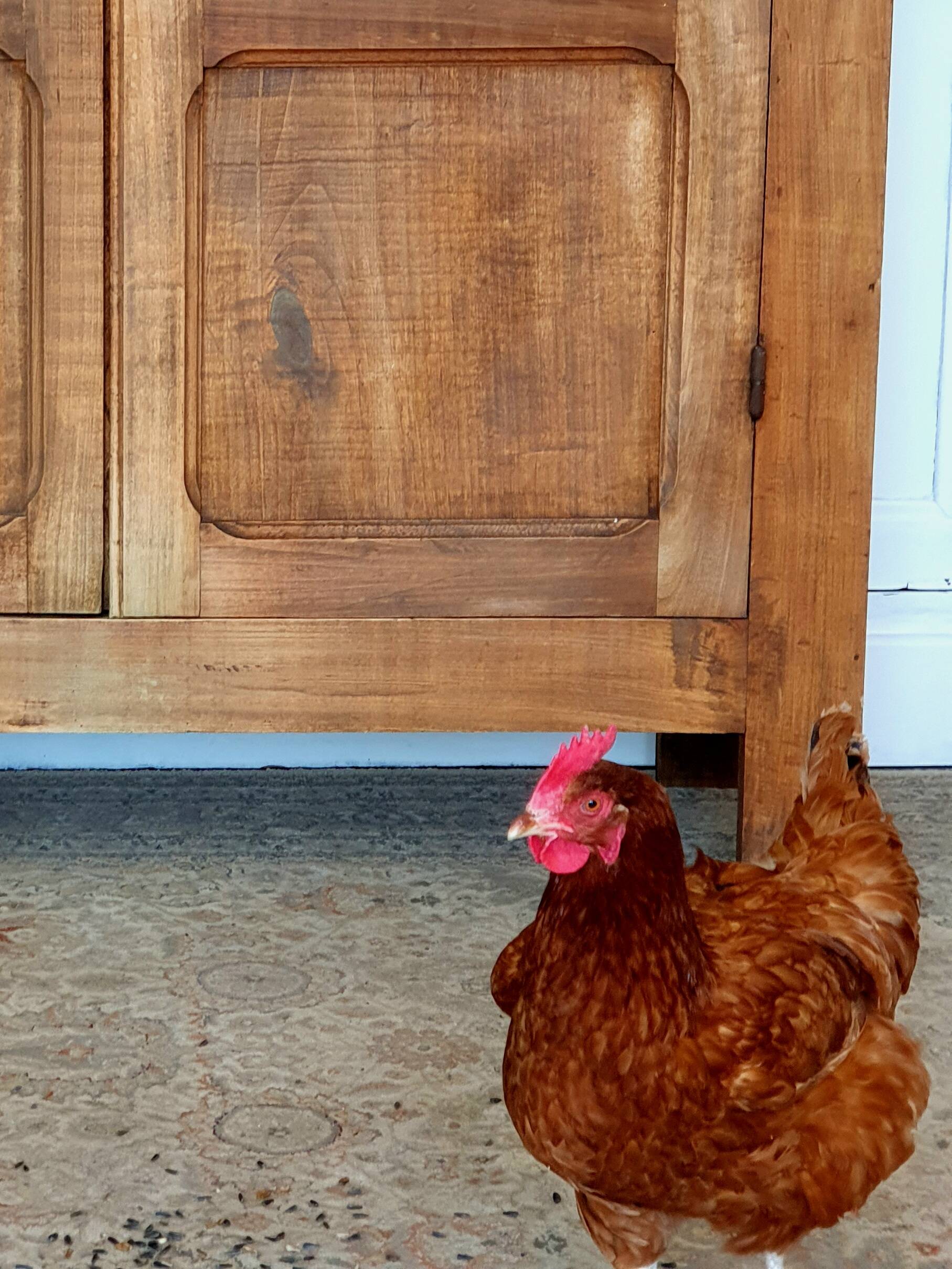 Raw wood wardrobe 1950