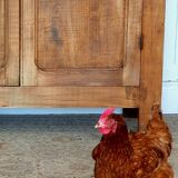 Raw wood wardrobe 1950