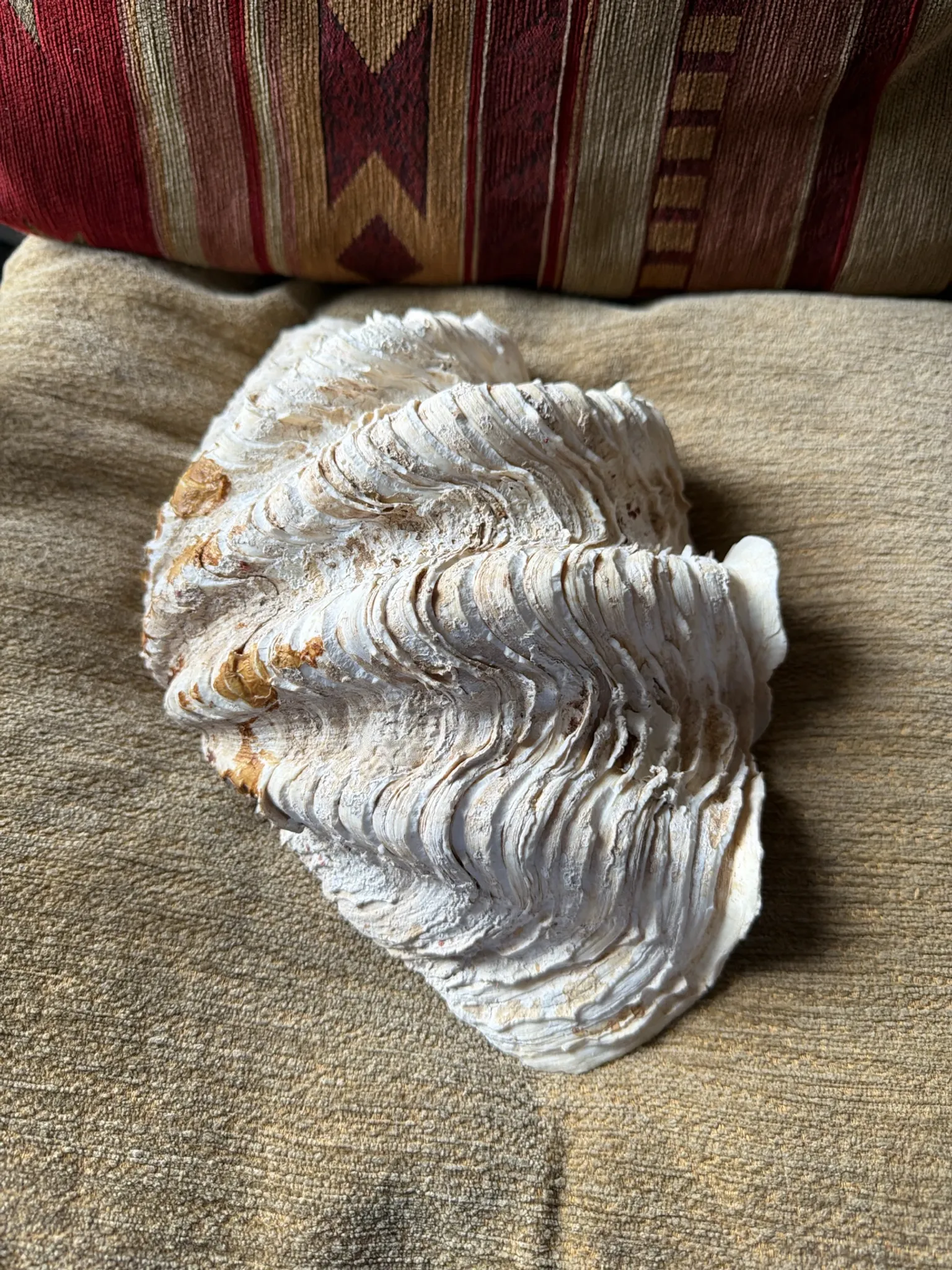 Benedictine 2kg
