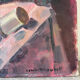The wool basket, still life signed by Camille Mouret.