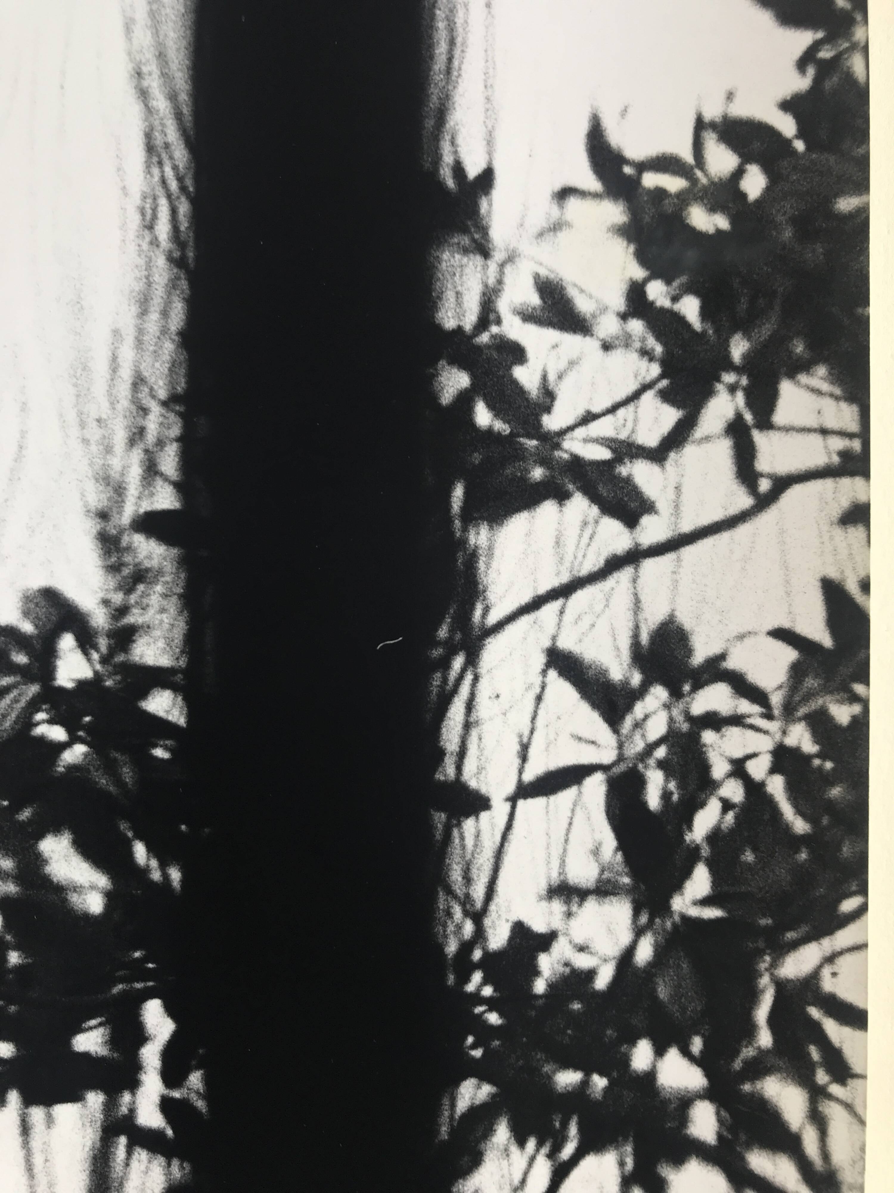 Rosine nusimovici, untitled (window), c 1980. black and white silver print