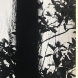 Rosine nusimovici, untitled (window), c 1980. black and white silver print