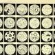 Engraving. Microbe, bacteria, biology • Original vintage poster from 1898