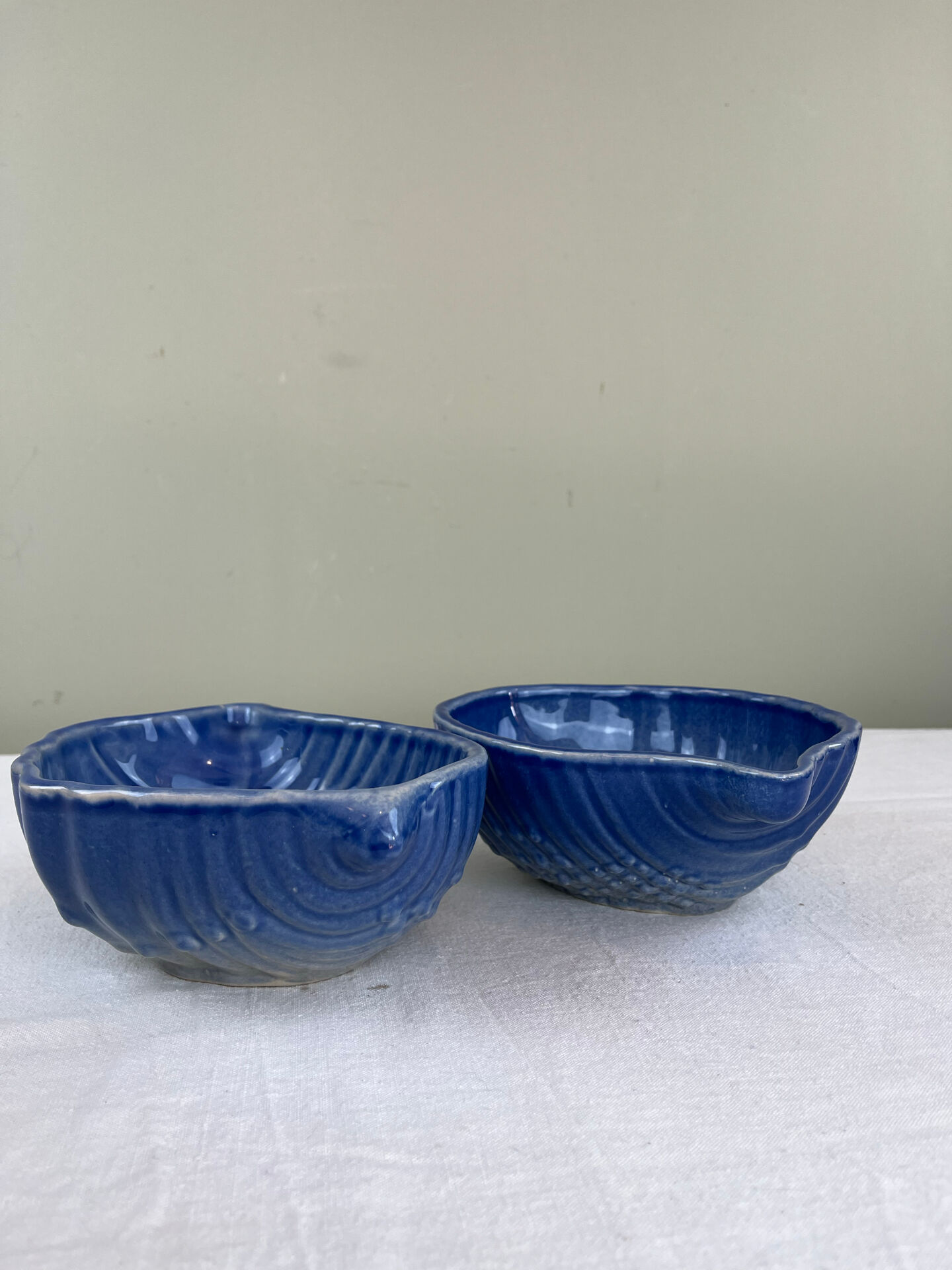 Set of shell bowls