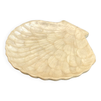 Cup or empty mother-of-pearl shell pocket