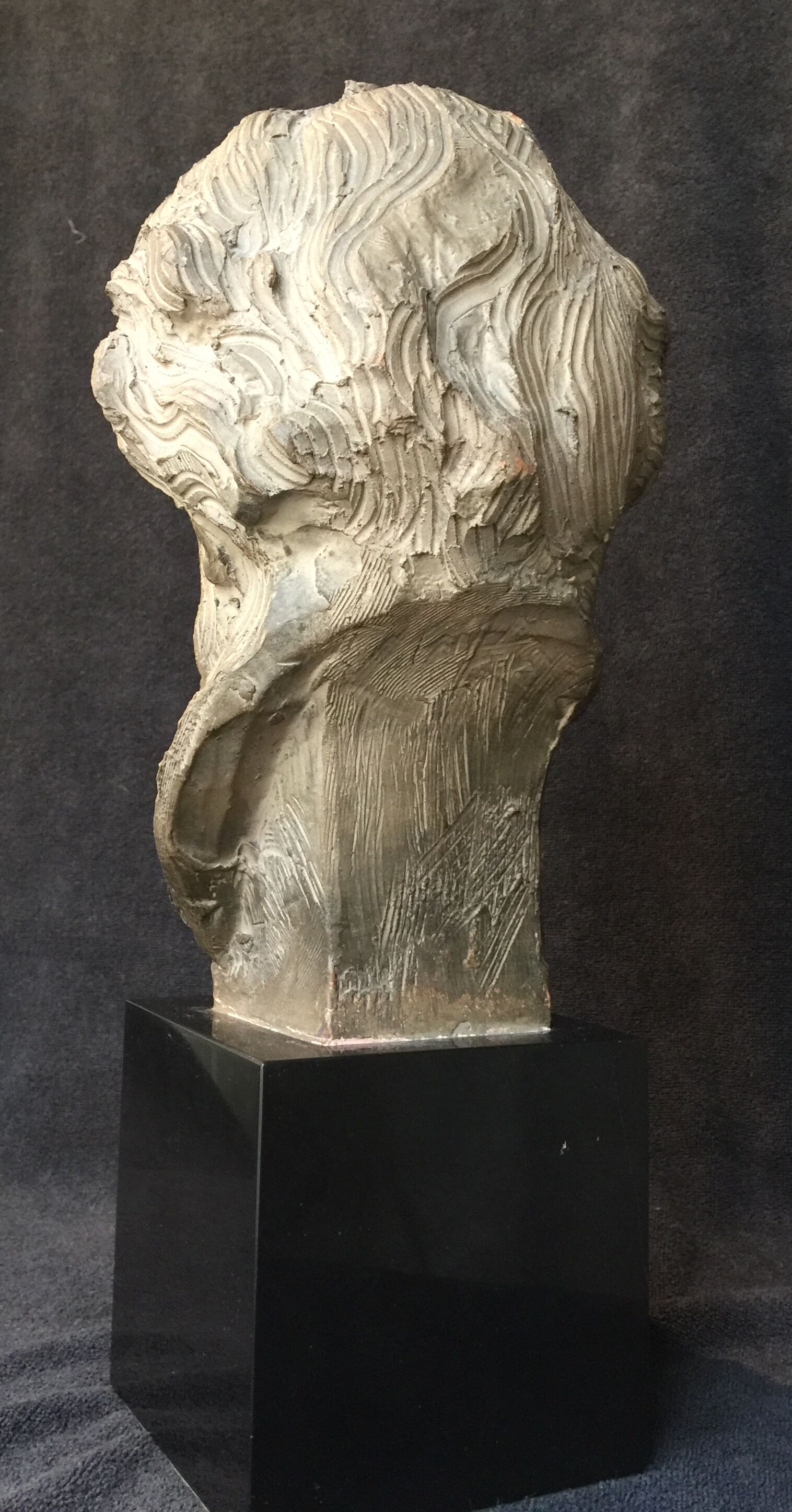 Bust of Richard Wagner by Fernand Cian (edition)