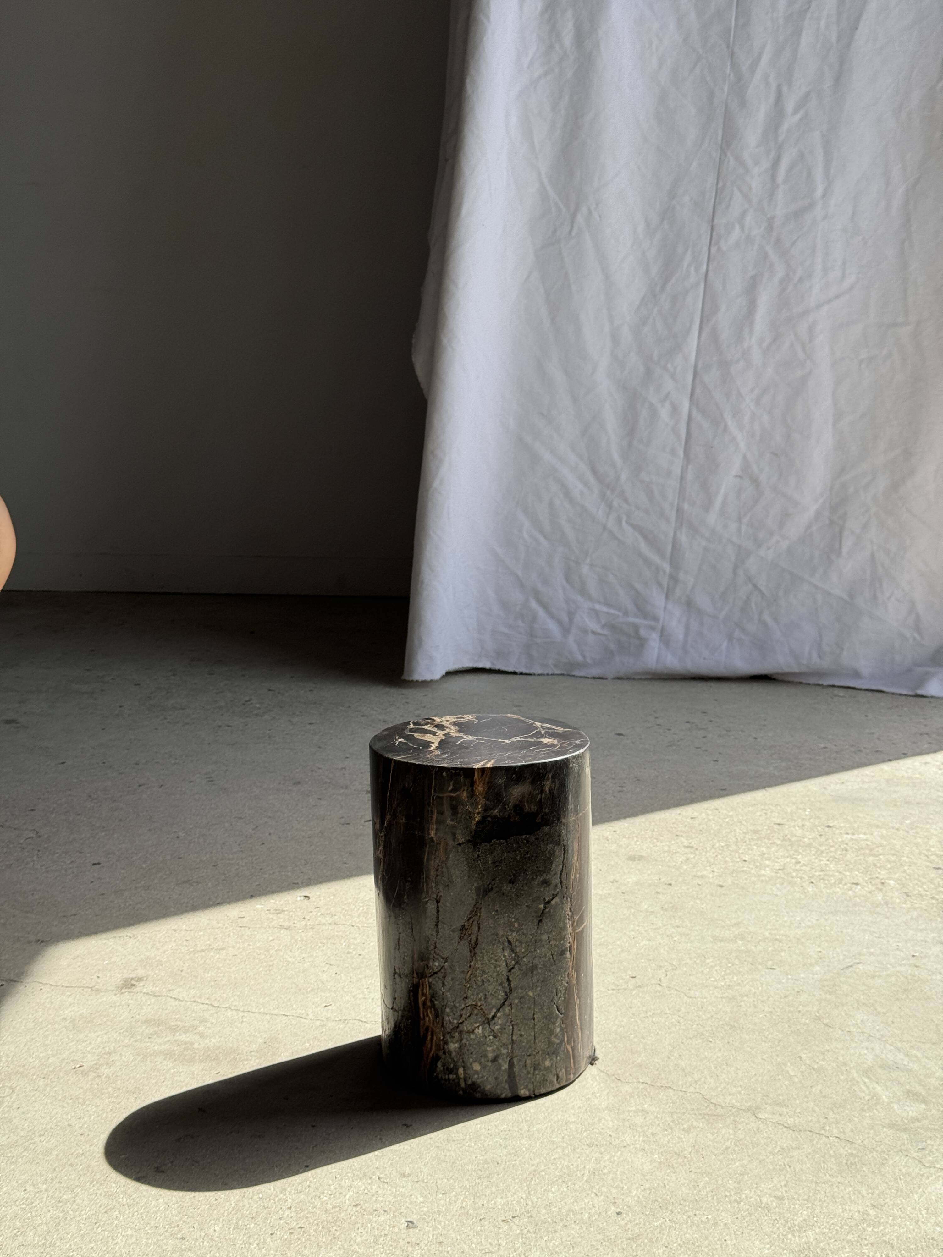 Table d'appoint en bois pétrifié noir