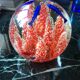 Murano glass ball paperweight Coral dolphins and fish