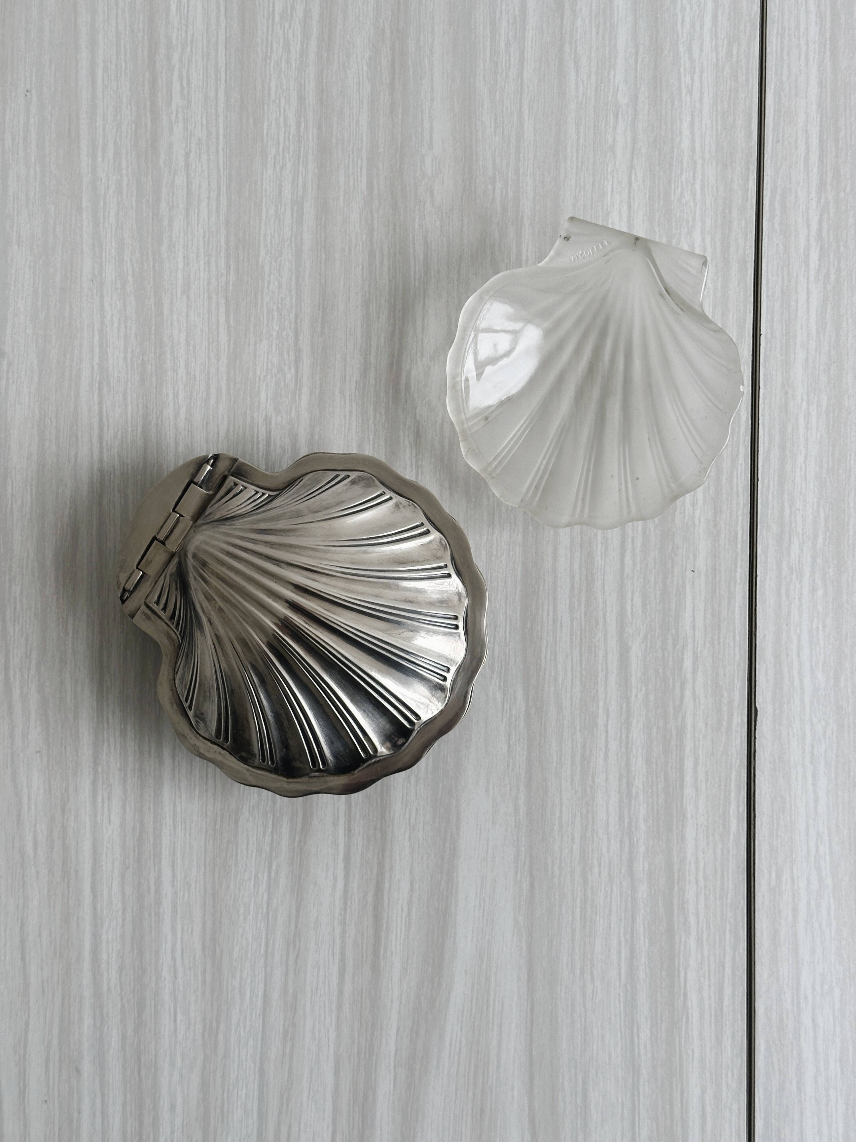 shell box in silver metal and worked glass