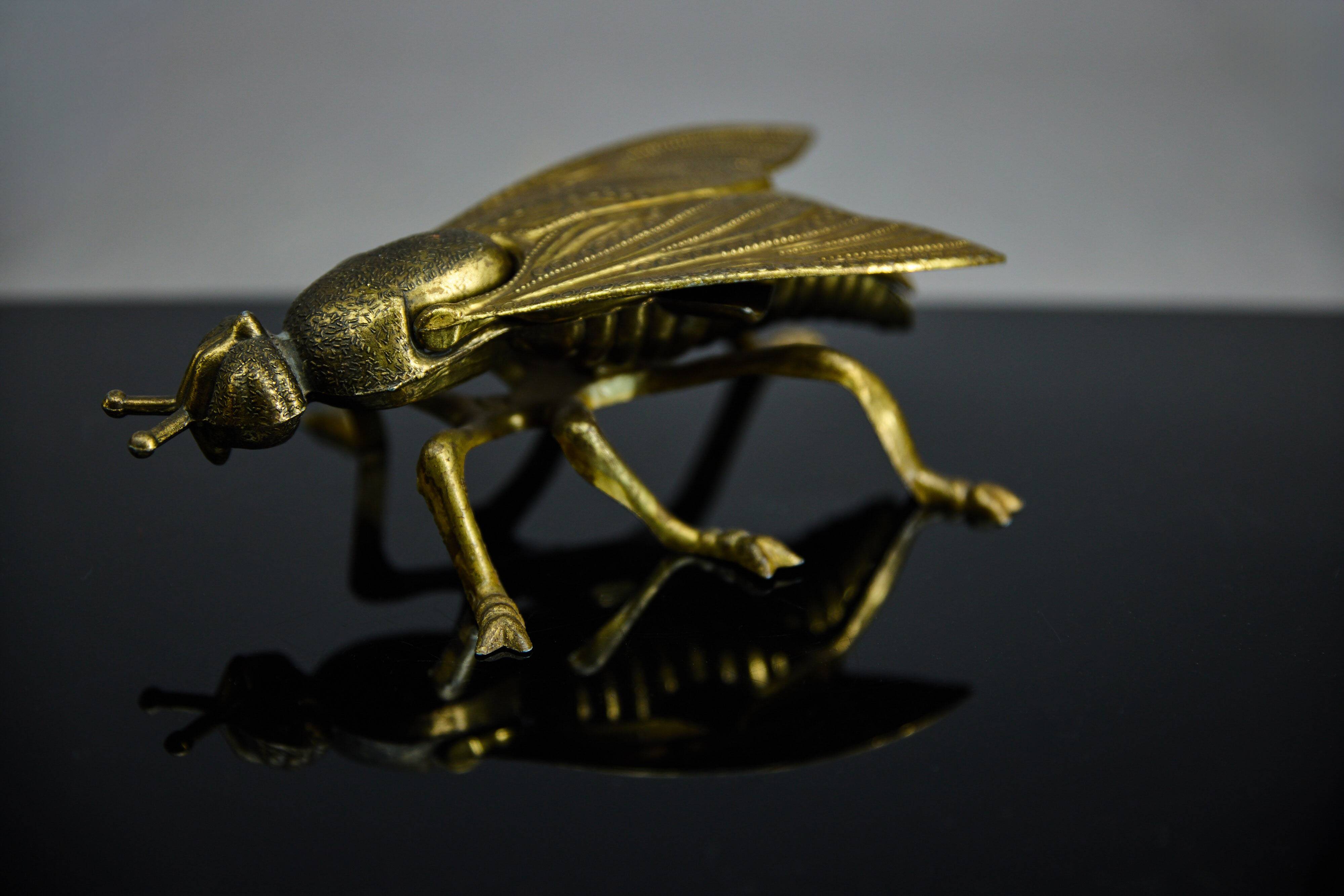 Sculptural ashtray in the shape of a giant fly in brass, Italy, circa 1950.