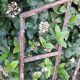 Industrial arched metal window L128xH114 19th century glass roof 2 leaves