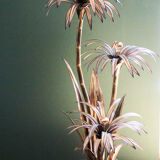 Floor lamp palm Maison Jansen by Barbier