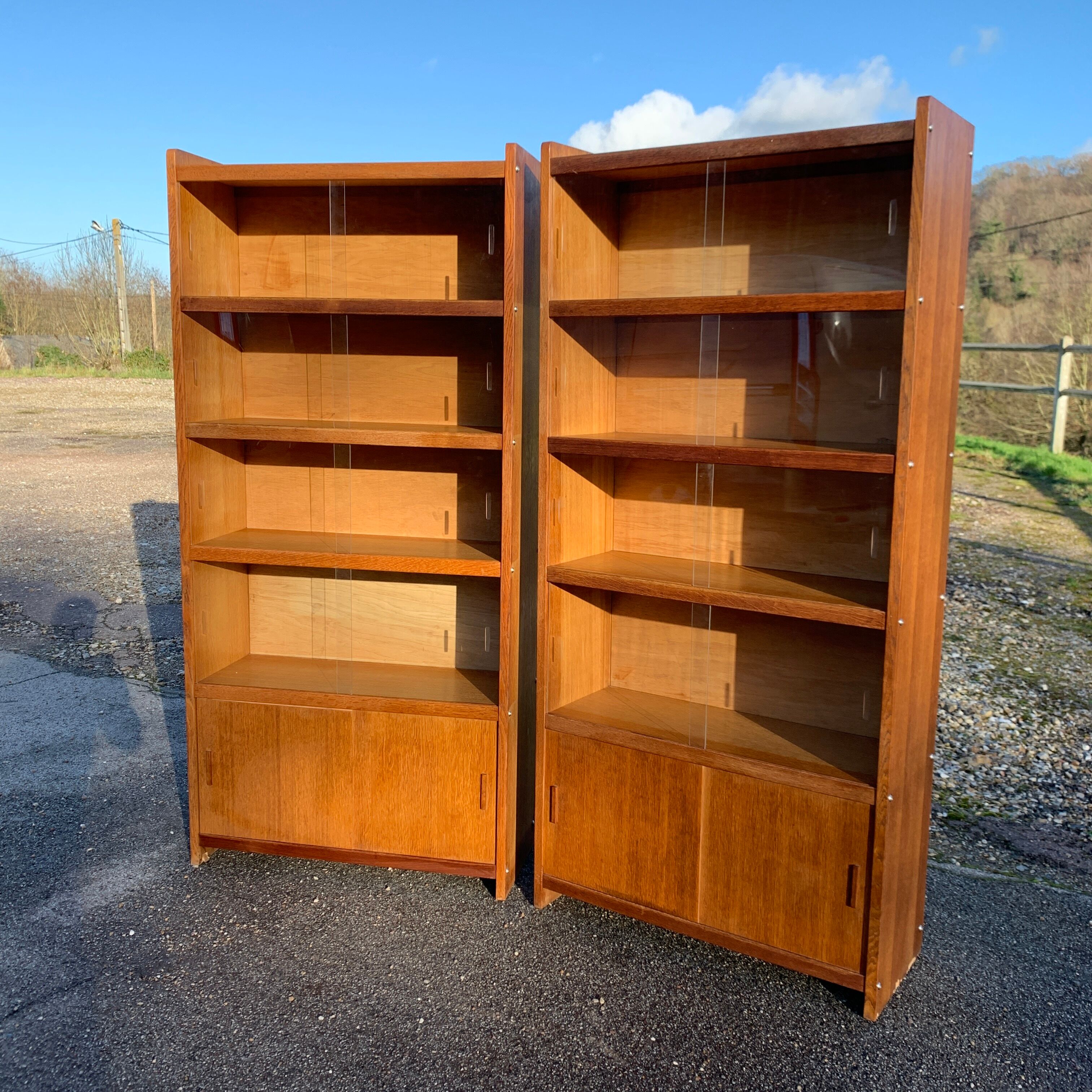 Pair of vintage glass shelves libraries