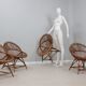 Mid century rattan shell-shaped chairs 1950s