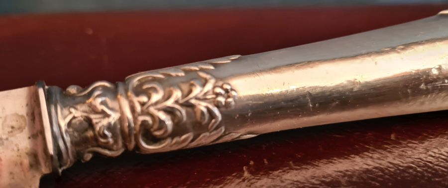 Box of 12 dessert knives