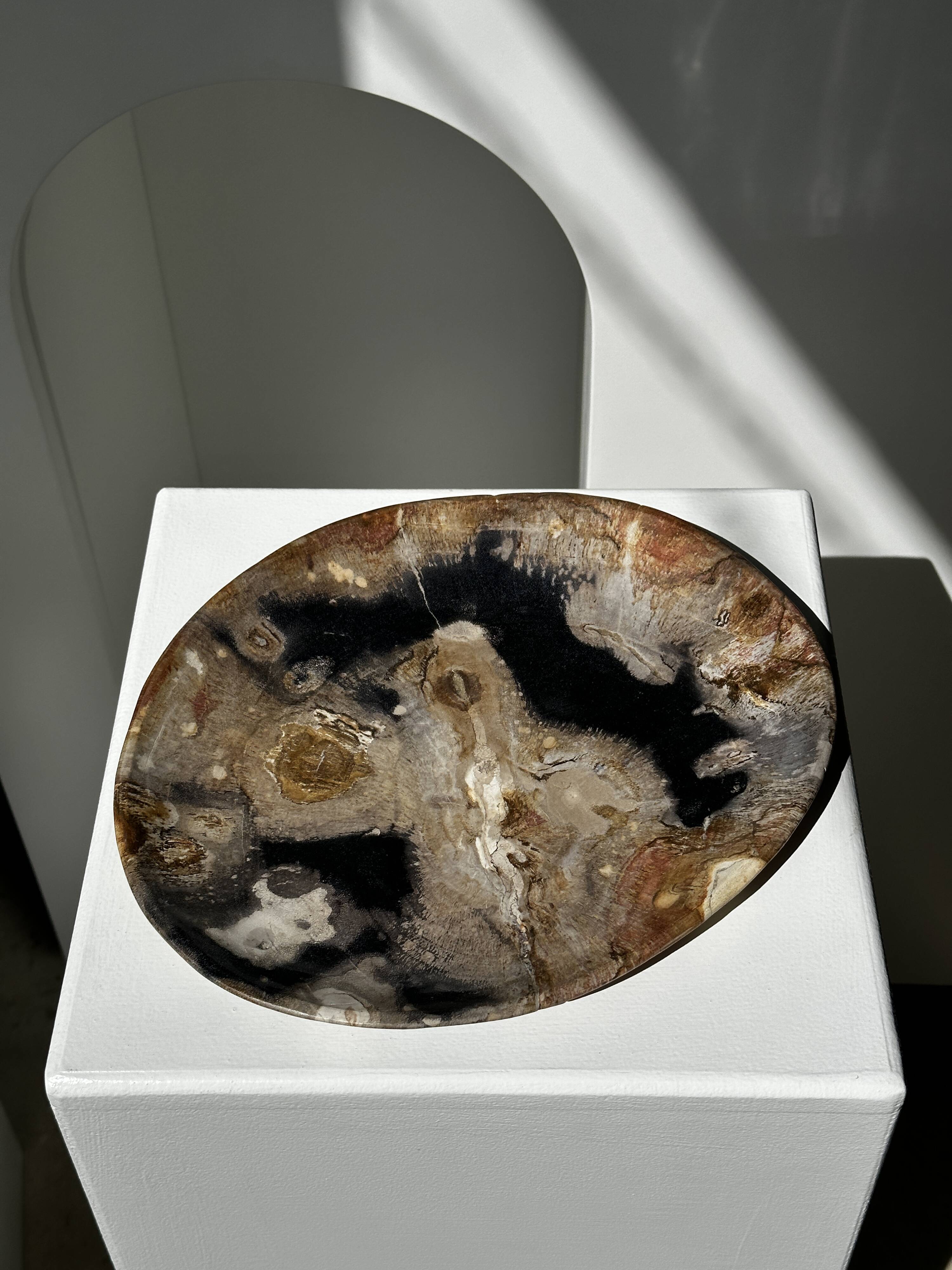 Large empty pocket or dish in petrified wood