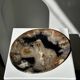 Large empty pocket or dish in petrified wood