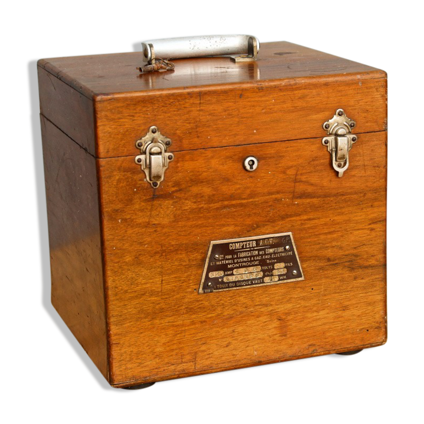 Mahogany and brass box, early twentieth
