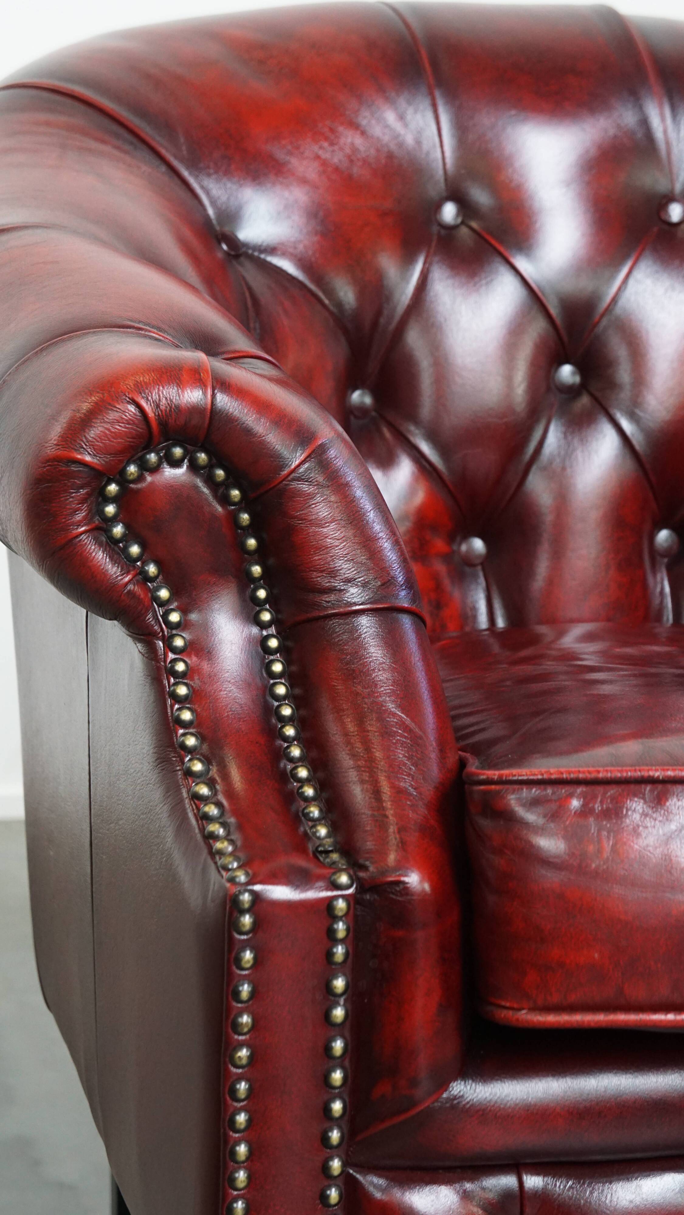 Ensemble de 6 fauteuils club Chesterfield en cuir de vache anglais