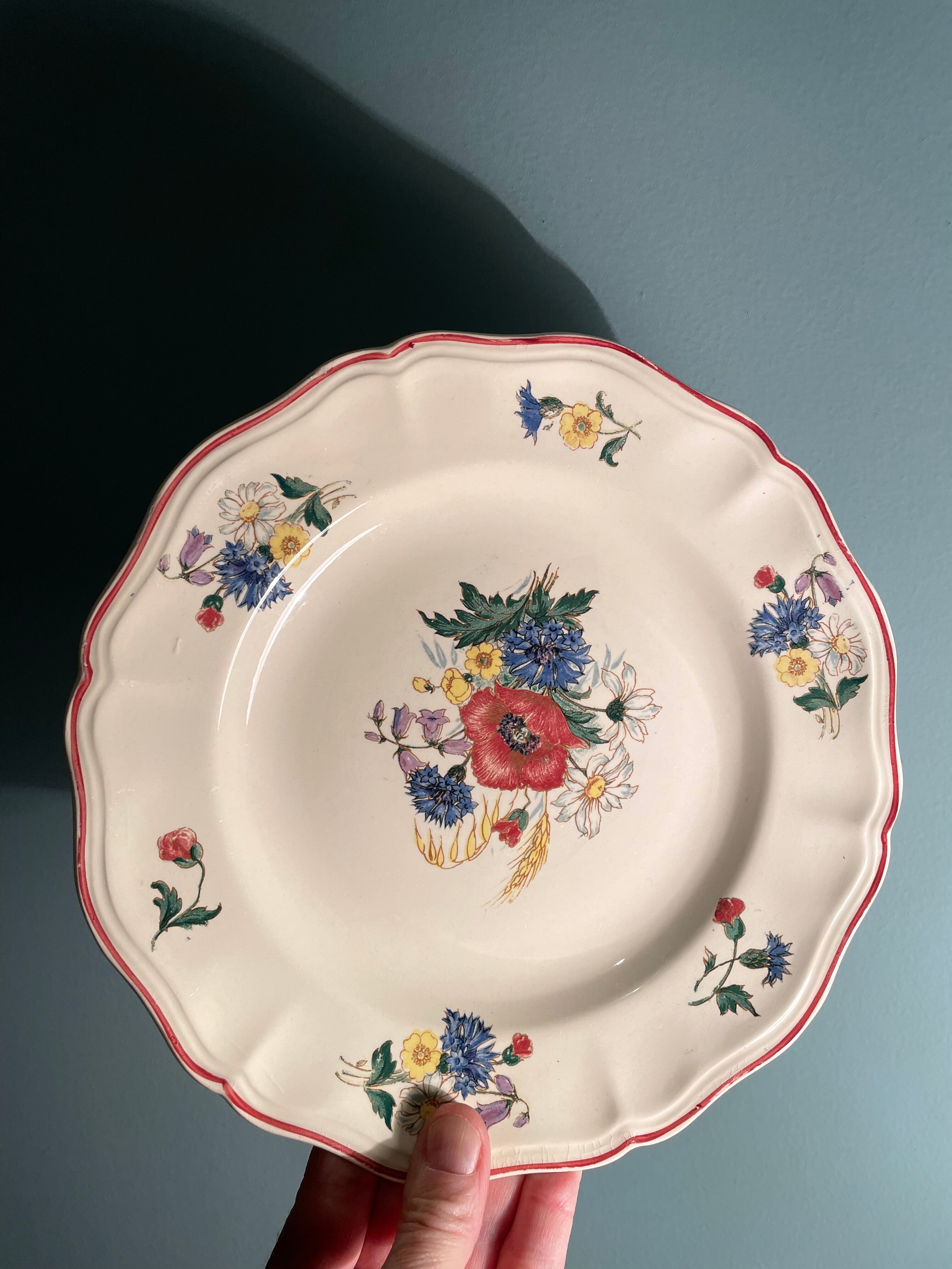 Set of 8 flat plates in Digoin Sarreguemines earthenware, Agreste model