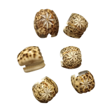 6 carved shell towel rings