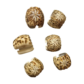 6 carved shell towel rings
