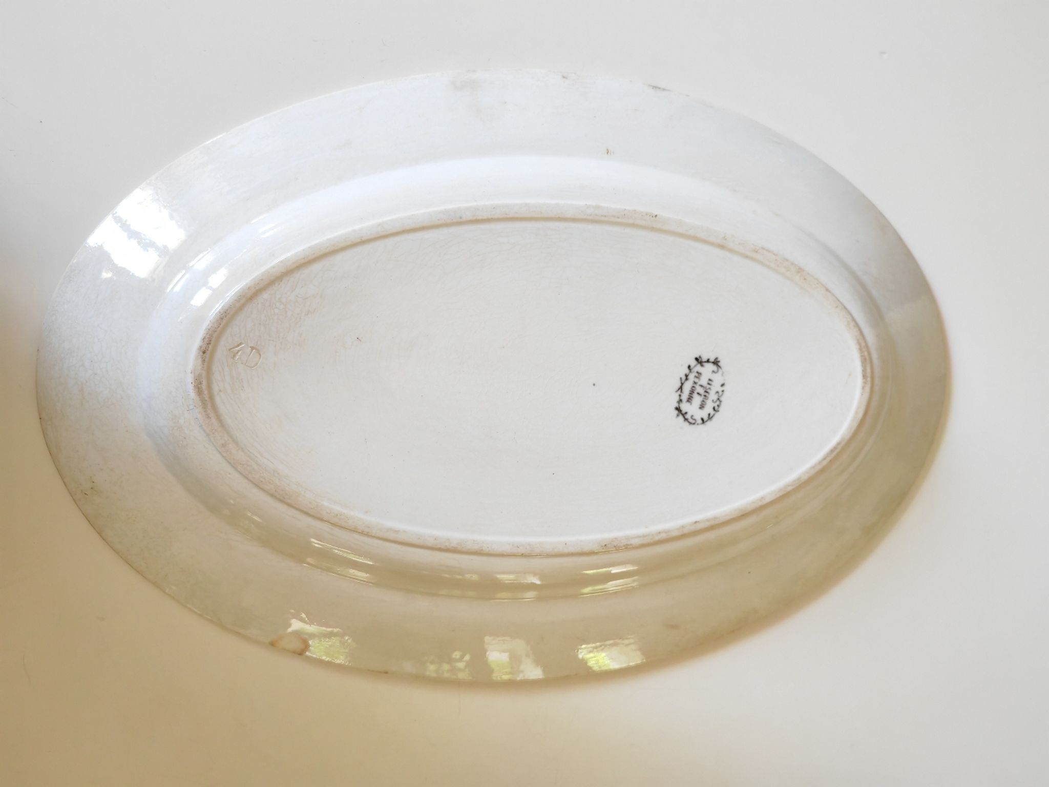 Dish bindweed Pexonne