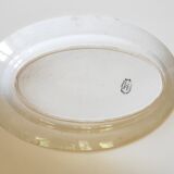 Dish bindweed Pexonne