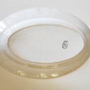 Dish bindweed Pexonne