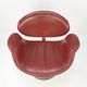 Little Tulip armchair by Pierre Paulin for Artifort 1980s