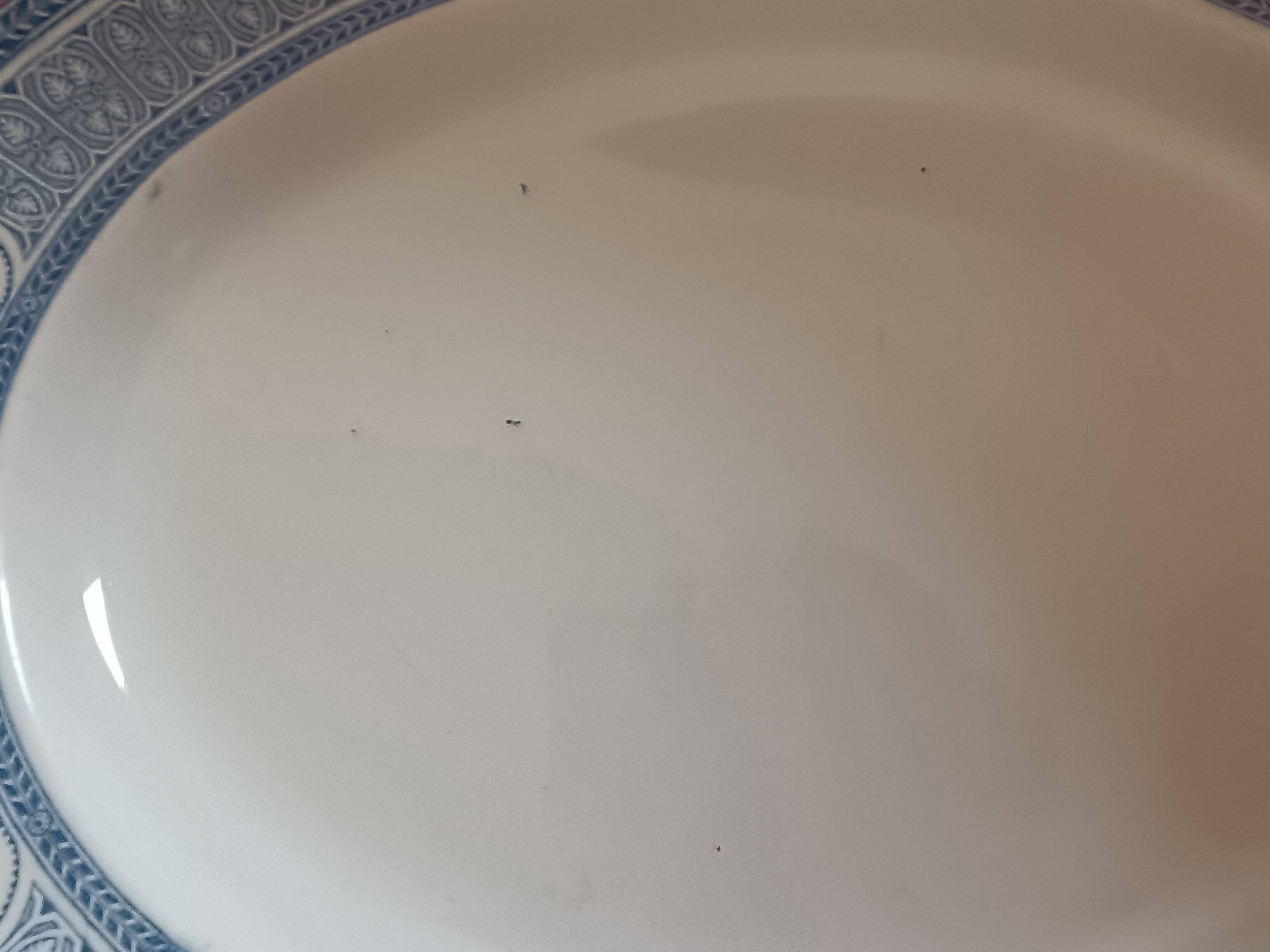 Large white: blue dish. French Anglo Company.