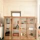 Antique glazed shop cabinet