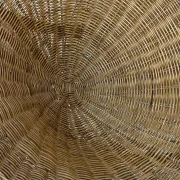 Pair of rattan armchairs from the 1950s.