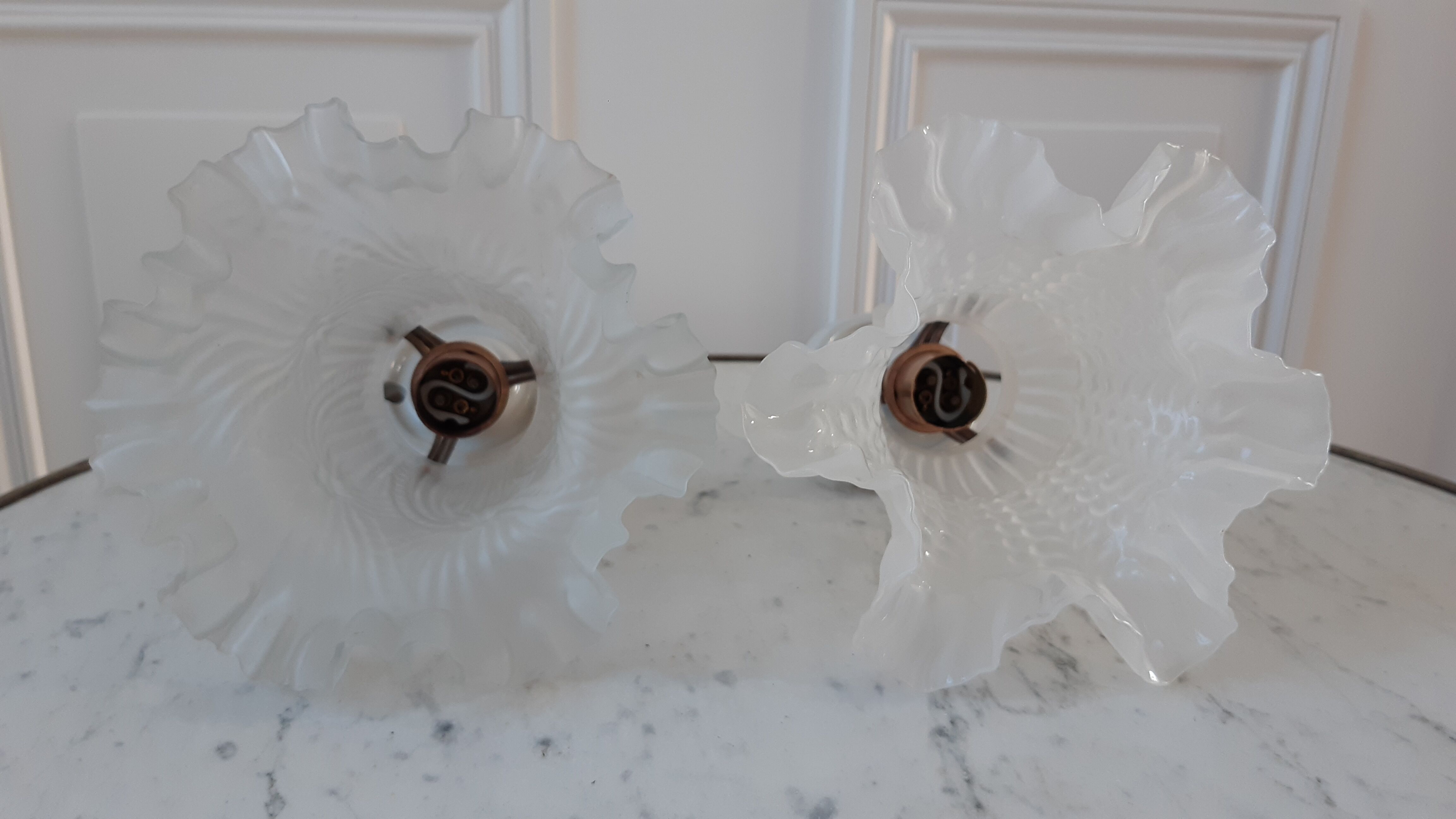 Pair of tulip sconces on inclined support 50s