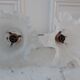 Pair of tulip sconces on inclined support 50s