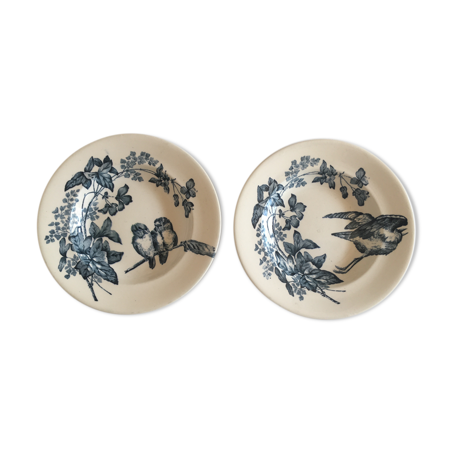 Hollow plates in faience iron earth birds and flowers 19th longwy