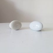 Pair of antique oval door handles in porcelain and brass.