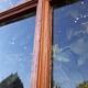 Glass window h141xl263 in oak 4 leaves